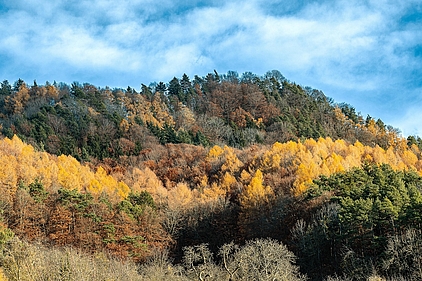 Foto: www.pixabay.com, minka2507 Symbolbild, Foto: www.pixabay.com, minka2507