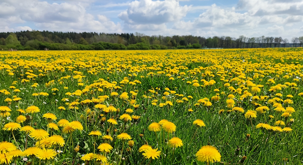 Foto: Eva-Maria Kastell